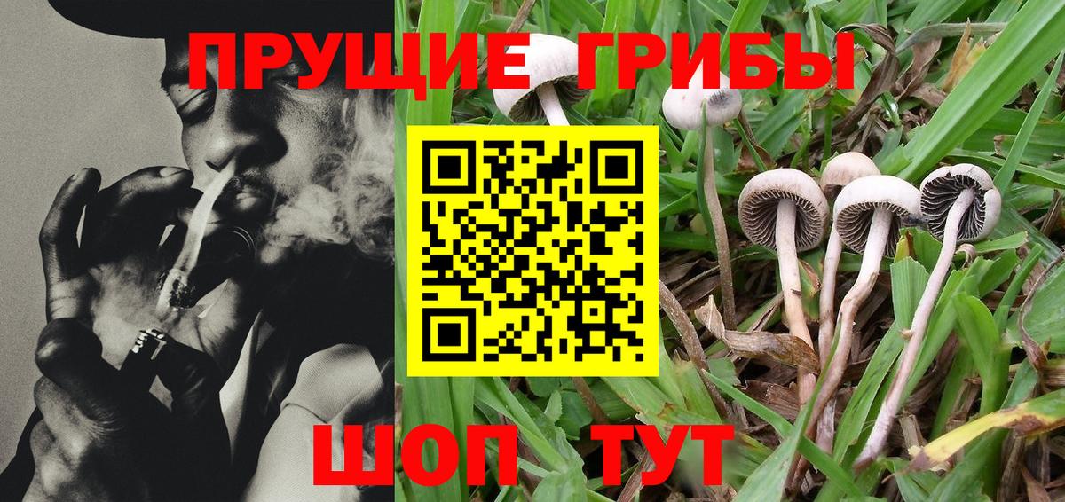 Выборг  Галлюциногенные грибы MAGIC MUSHROOMS  Галлюциногенные грибы ЛСД  Вход с VPN 